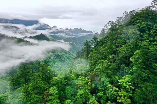 乘風(fēng)破浪開(kāi)新局——以習(xí)近平同志為核心的黨中央引領(lǐng)“十四五”穩(wěn)健開(kāi)局紀(jì)實(shí)(圖11)