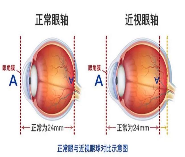 圖片2 (復(fù)制).jpg