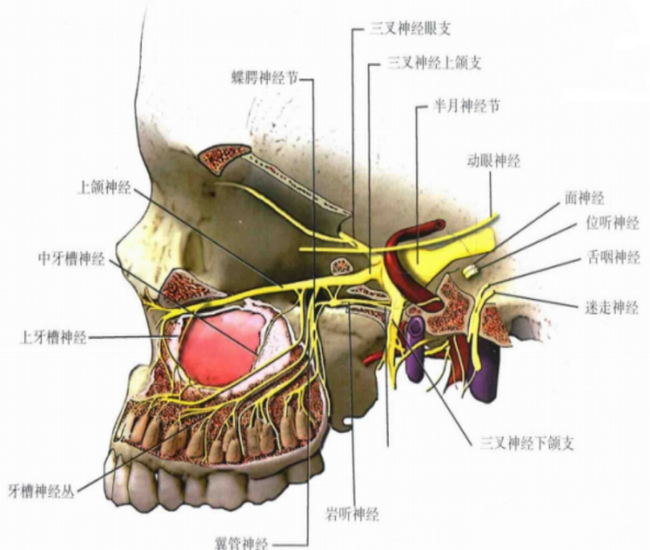 圖片3 (Copy).png