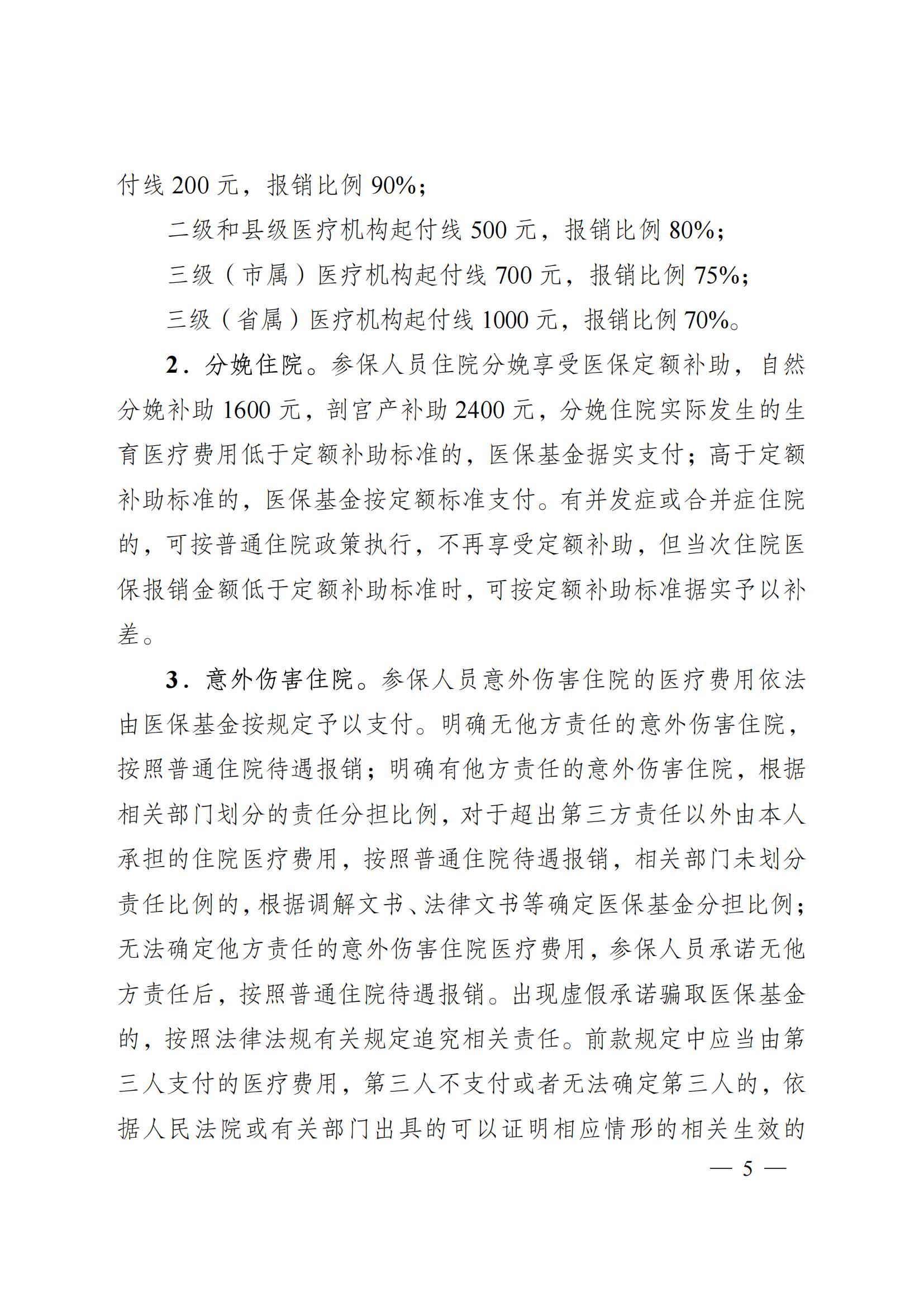 2024.12.26（皖醫(yī)保發(fā)〔2024〕9號(hào)）安徽省醫(yī)療保障局 安徽省財(cái)政廳 關(guān)于印發(fā)《安徽省城鄉(xiāng)居民基本醫(yī)療保險(xiǎn)和 大病保險(xiǎn)待遇保障政策》的通知(圖5)